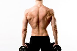 Позвоночник: основа здоровья и энергетический центр спортсмена и бойца