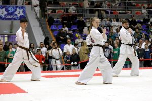 Бункай в программе соревнований по ката-группа в киокусинкай